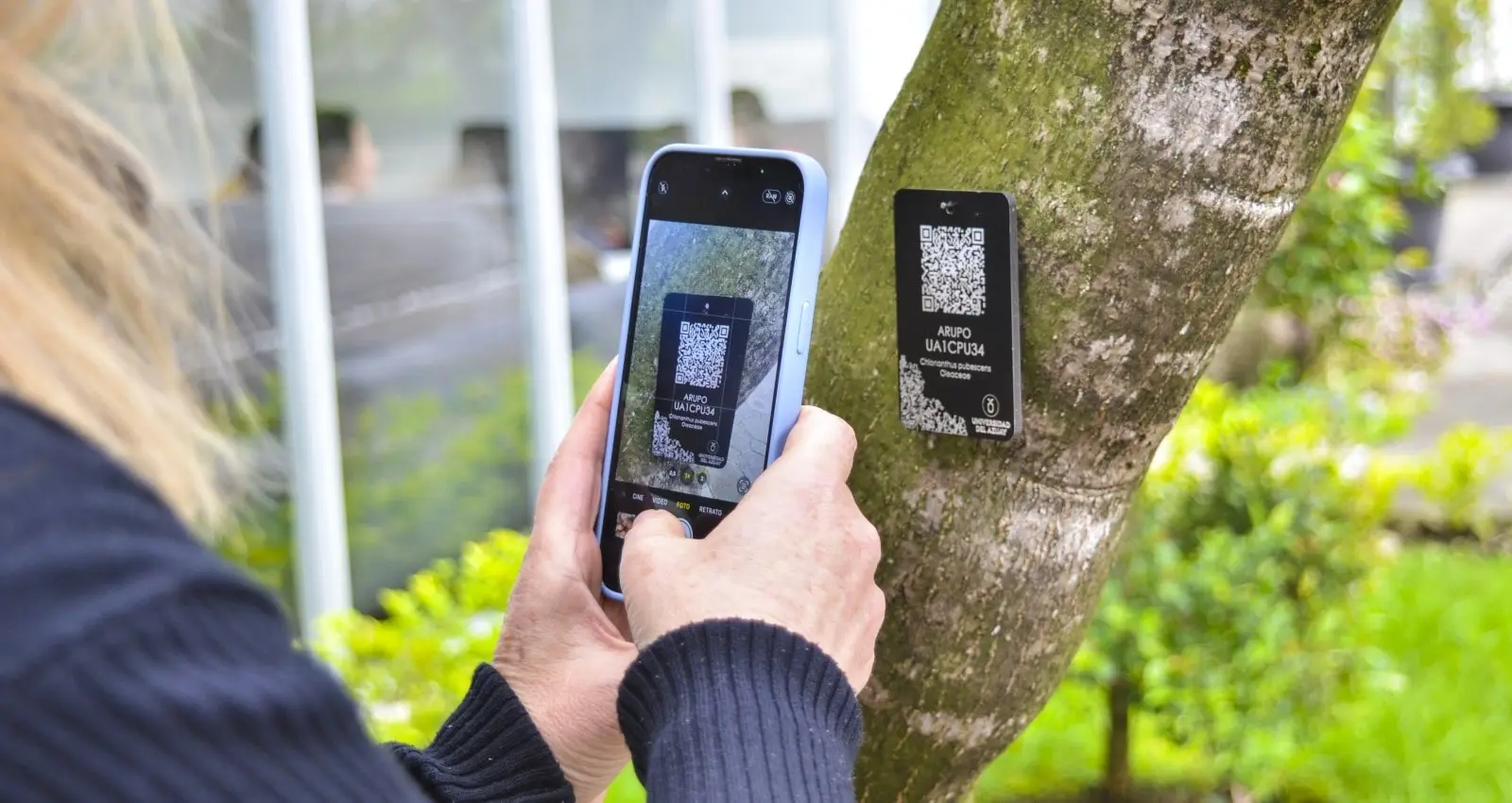 Introducción a Power BI