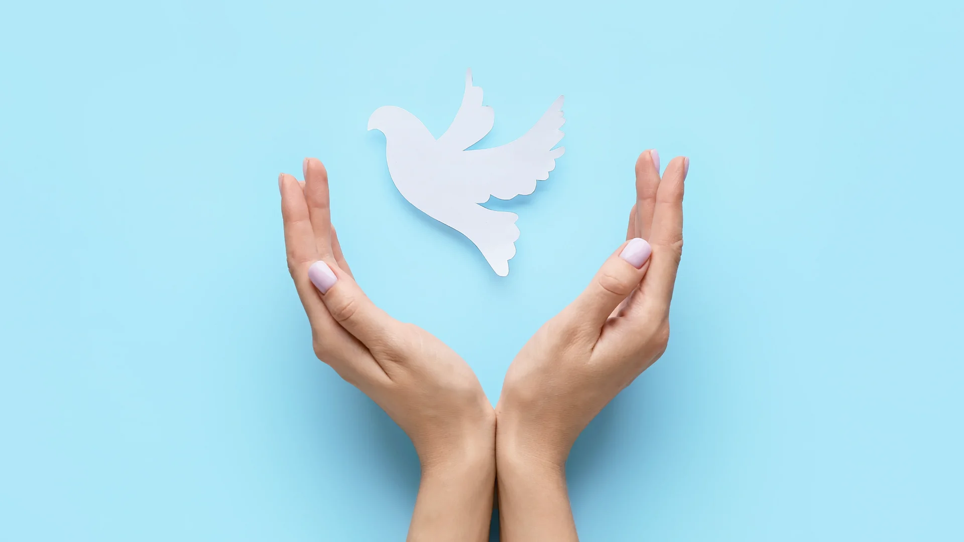 Día Internacional de la Paz