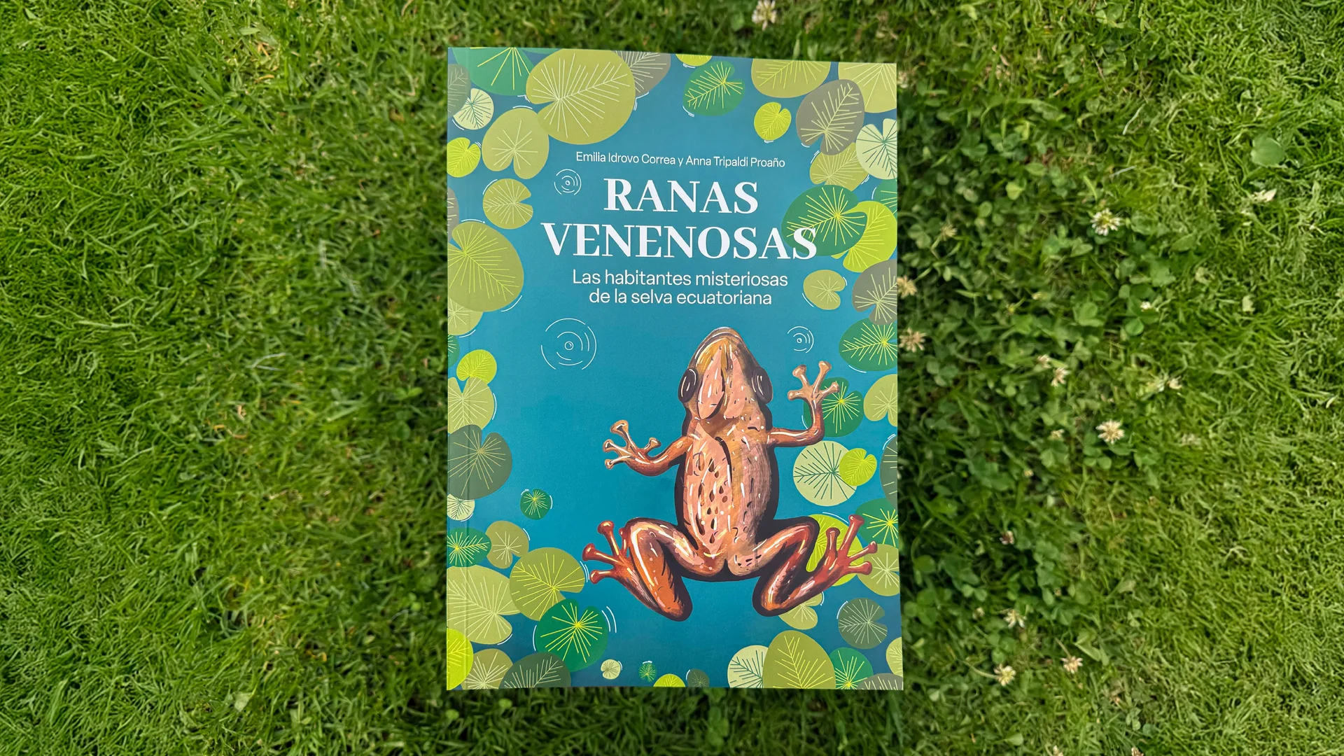 Ranas venenosas: una obra de Emilia Idrovo y Anna Tripaldi