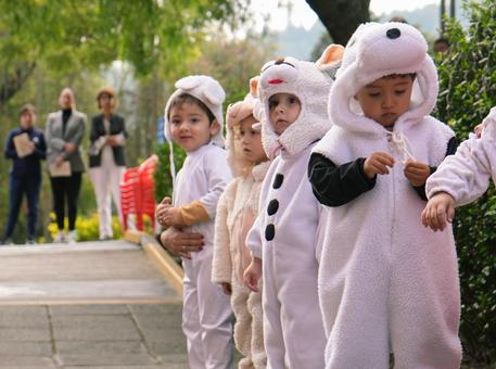 Novena 2024: Los pastores, caminando en la esperanza