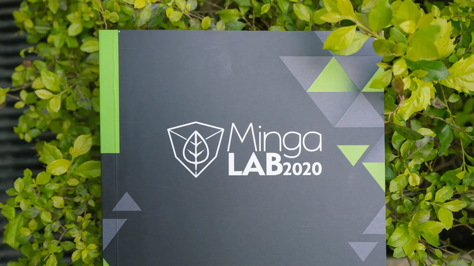 Minga Lab 2020, una publicación de Diego Proaño y Ana Llerena