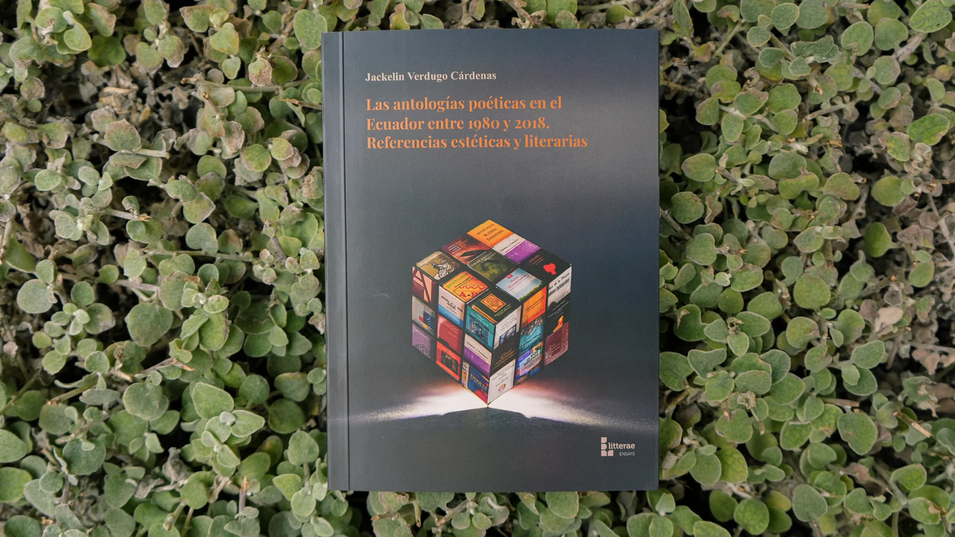 Antologías poéticas en el Ecuador entre 1980 y 2018: presentación de la obra